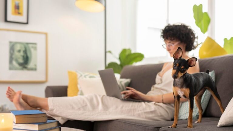 Cerca de 55% dos donos de pets pedem conselhos de dieta à Inteligência Artificial