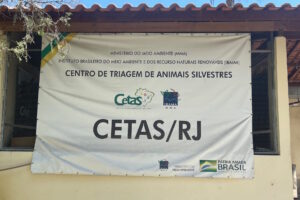 Cetas