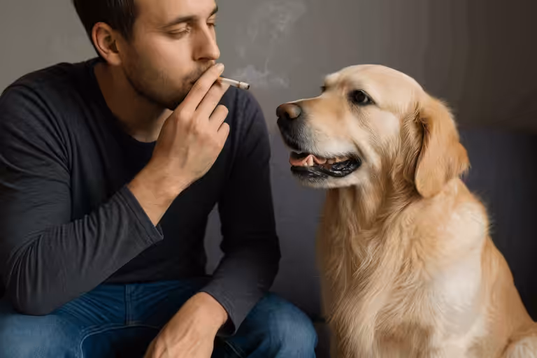 cigarro.IA.png