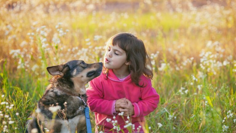 Chegada da primavera exige cuidados com pets e crianças no manejo do jardim