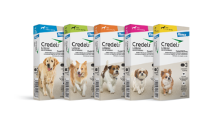 Credeli