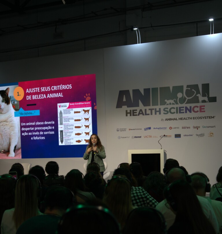 Manejo da Síndrome da Disfunção Cognitiva é tema da palestra no Animal Health 2026