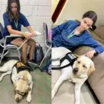 Cão de assistência transforma rotina de universitária com TEA e fortalece autonomia