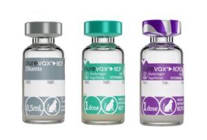 Boehringer Ingelheim amplia linha Purevax® e reforça vacinação personalizada para gatos no Brasil