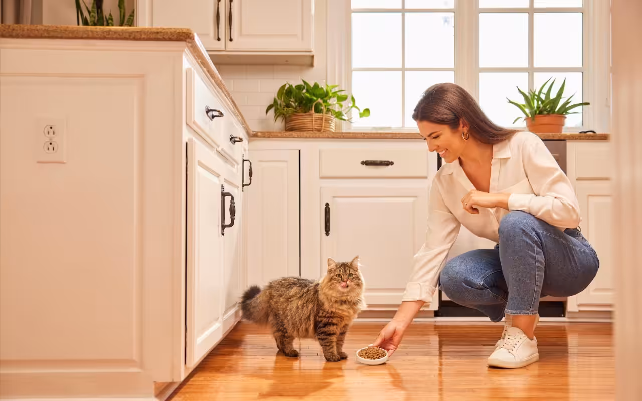 A importância da nutrição no controle de peso e qualidade de vida dos pets