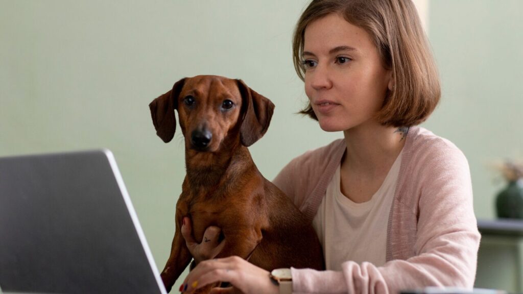 Entre a emoção e a ética os desafios da comunicação no mercado veterinário