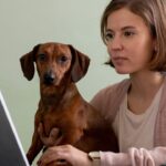 Entre a emoção e a ética os desafios da comunicação no mercado veterinário