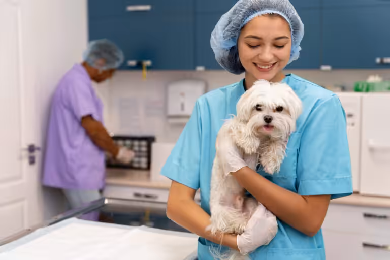 Dia do Estudante: Curso de Medicina Veterinária exige preparo emocional e disciplina