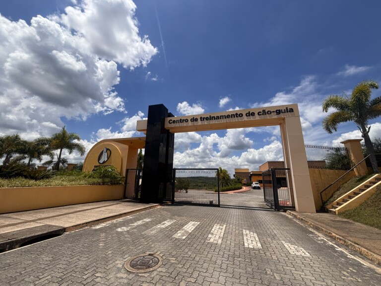 Instituto Adimax: olhos que guiam, laços que transformam vidas