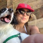 Com milhares de fãs, cachorro com pata amputada mostra superação e inspira adoção