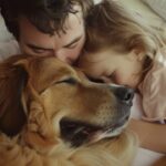 Febre maculosa cão protegido, família protegida