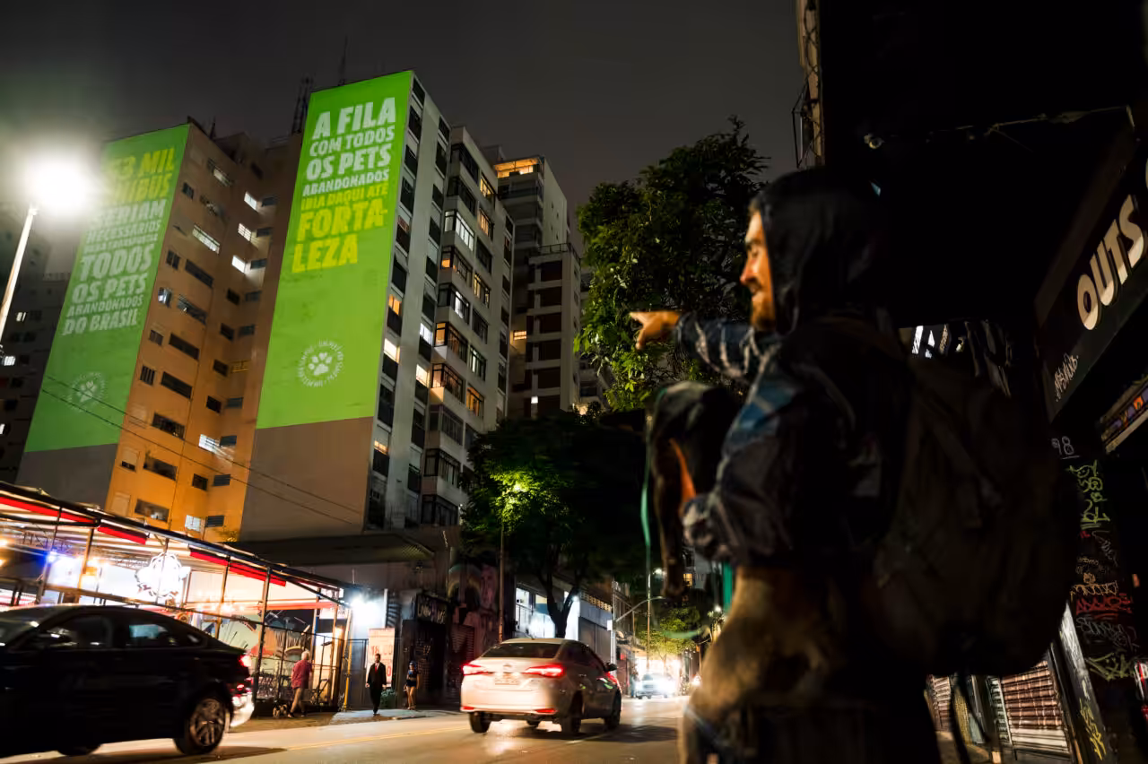 Guabi Natural transformou prédios de São Paulo em símbolos da luta contra o abandono de pets