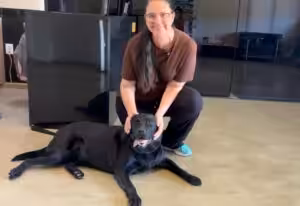 Famílias socializadoras: o primeiro passo na formação de um cão de assistência