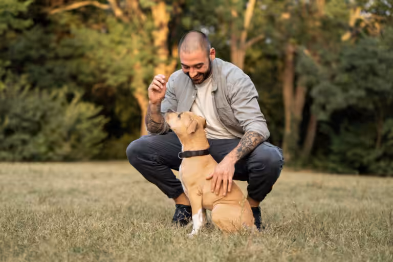 Dia do Homem: Adoção de pets por homens solteiros reflete mudanças nas normas sociais