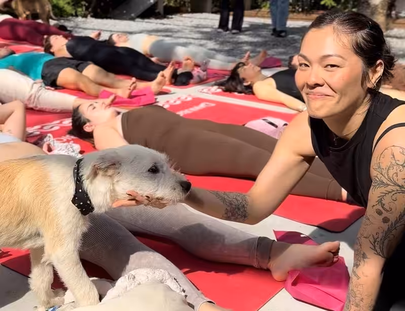 Bionatural patrocina Hyppet Festival e promove adoção de animais