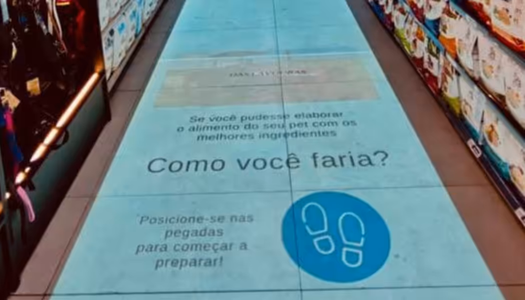 O que a ciência diz sobre a longevidade de cachorros grandes e pequenos