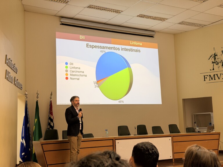 Na SACAVET, diferenciação entre linfoma intestinal e enteropatia crônica segue como desafio clínico