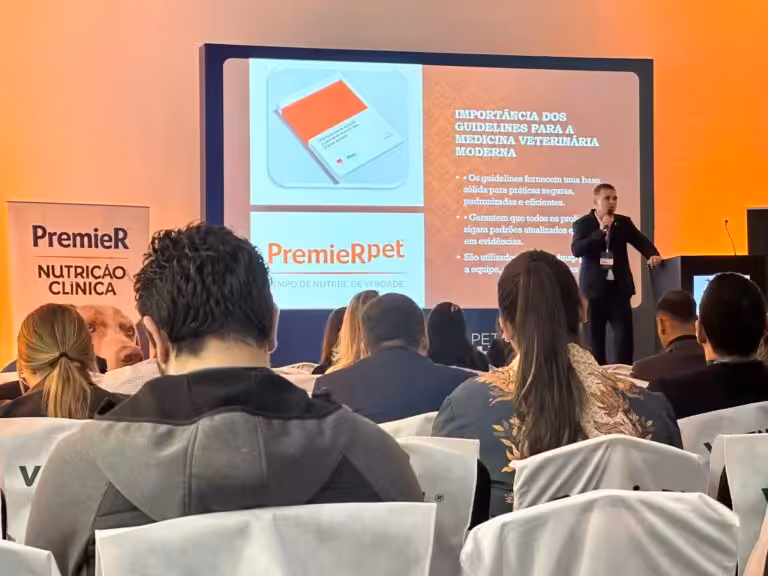 lançamento guideline