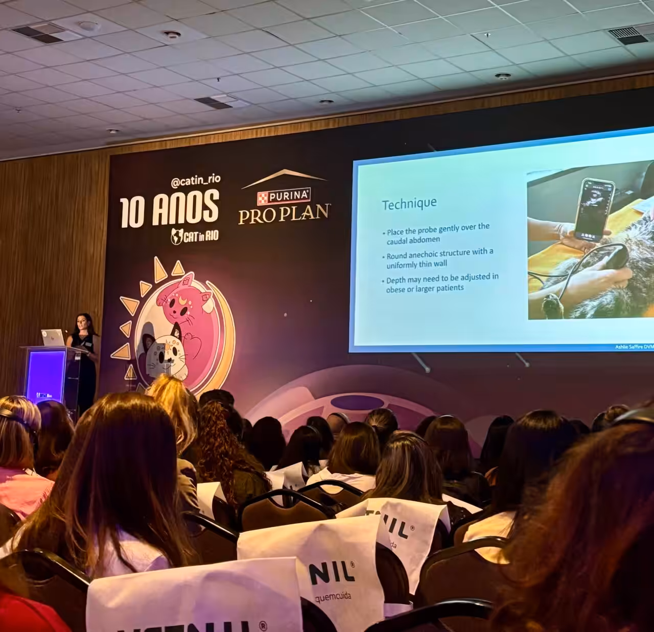 Doenças urinárias de felinos e seus diagnósticos são tema de palestra no Cat In Rio 2025