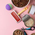 Importação de produtos pet o que é preciso saber antes de trazer um produto para o Brasil