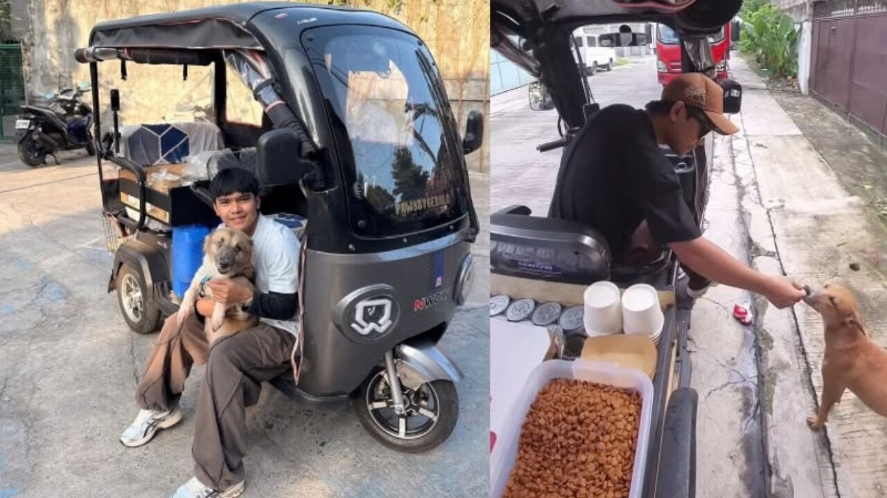 Jovem transforma veículo em refeitório móvel para alimentar cerca de 100 animais abandonados por dia