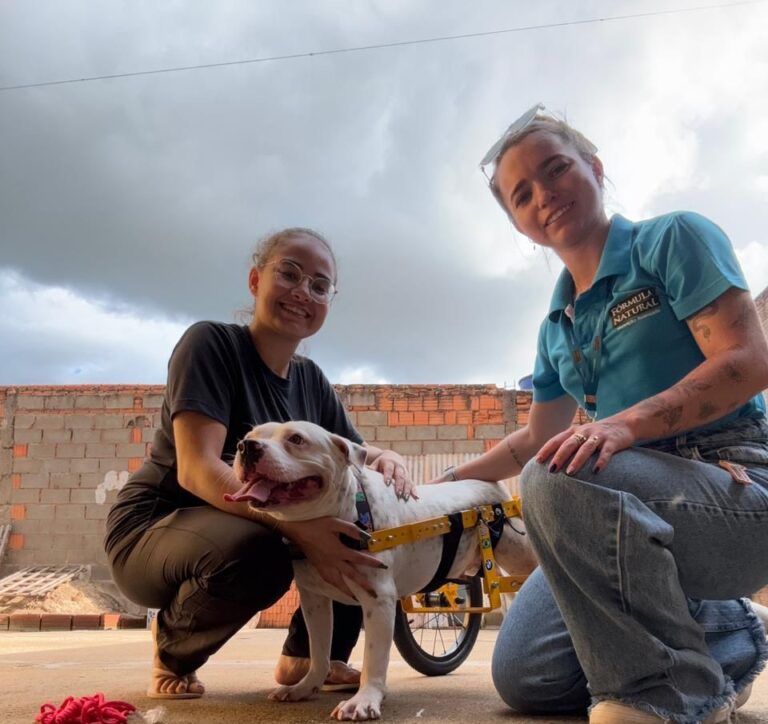 O amor não vê limitações: os desafios e as vitórias na adoção de pets com deficiência