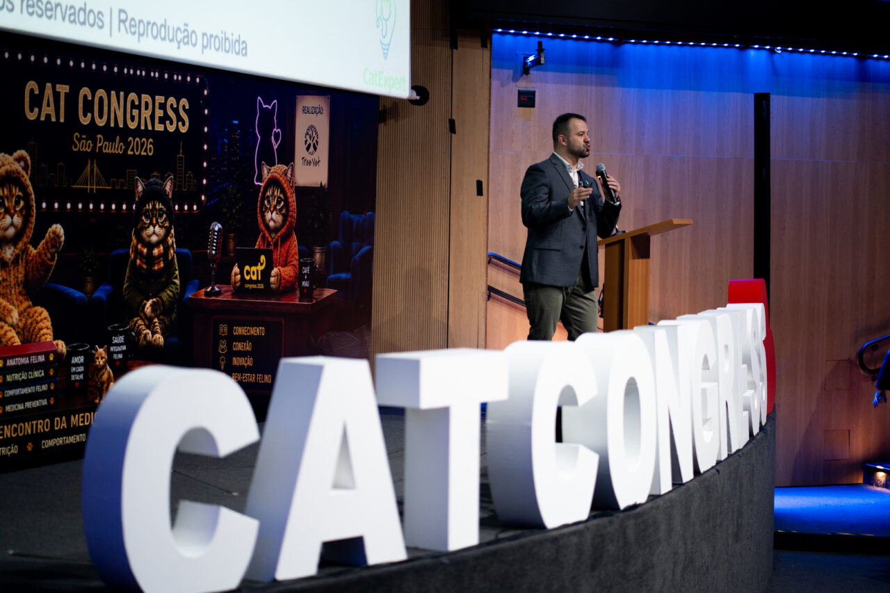 Enteropatia crônica em gatos: palestra apresenta avanços no diagnóstico e tratamento
