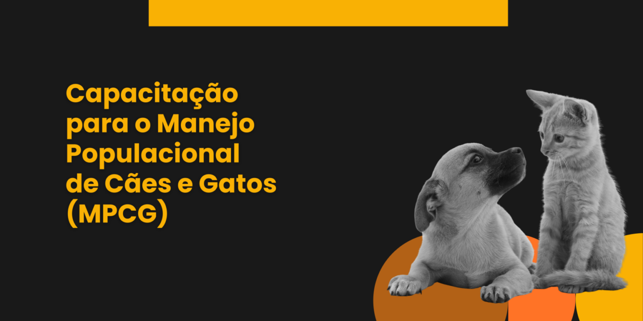 Curso gratuito capacita profissionais para criação de planos municipais de manejo populacional de cães e gatos