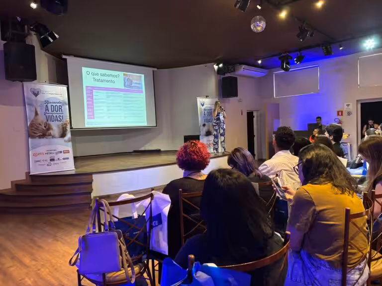 Maira Formenton traz insights sobre a Osteoartrite Felina no Simpósio Dor e Comportamento 2025