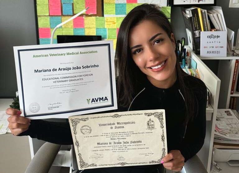Medicina Veterinária além das fronteiras: saiba como validar o diploma e atuar nos EUA