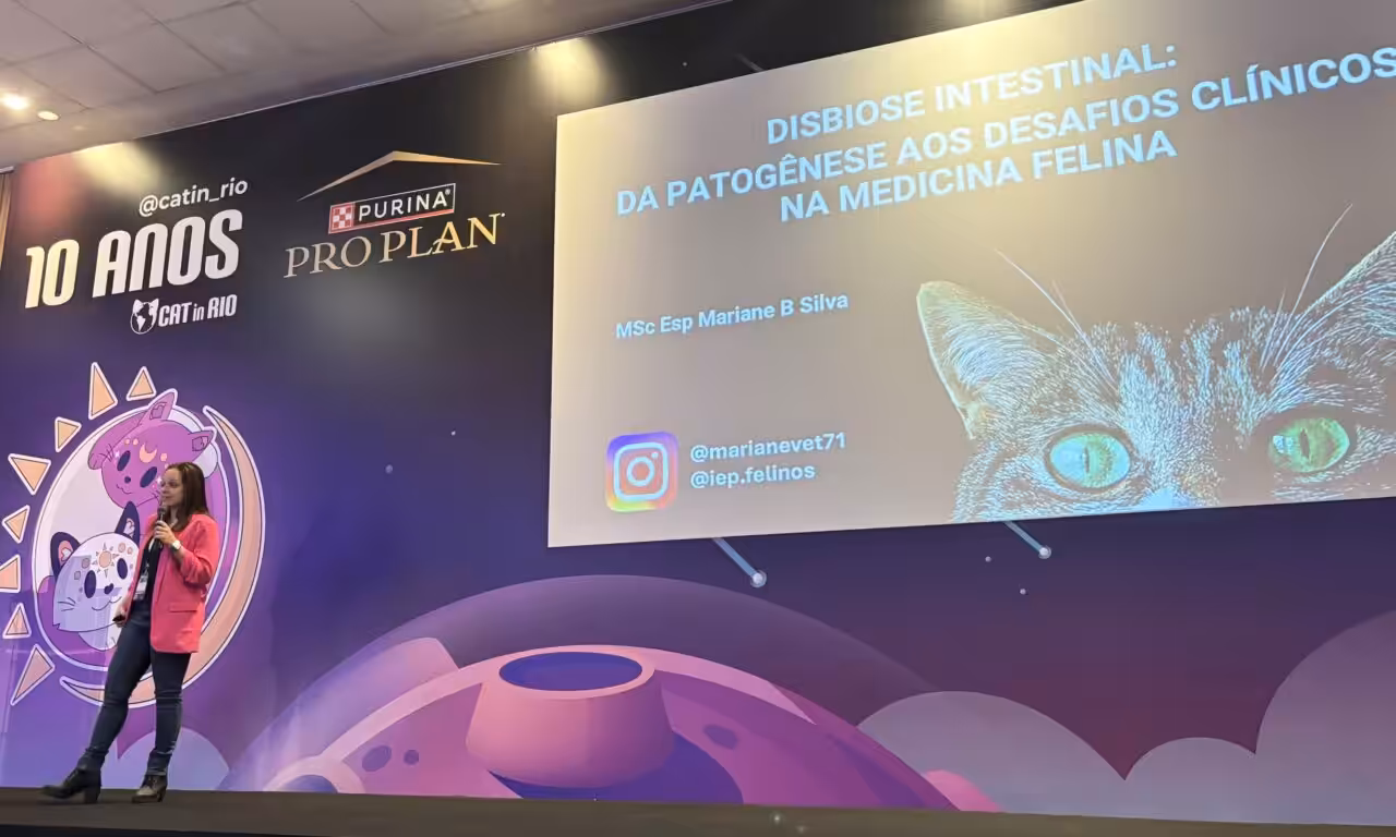 Desafios da disbiose intestinal em felinos são tema de palestra no Cat In Rio 2025
