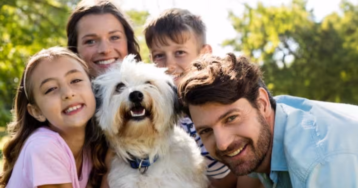UniCuritiba promove MedVet Day com serviços, adoção e diversão para pets e tutores