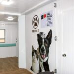 Governo de SP amplia rede de atendimento veterinário com novos pet contêineres no interior