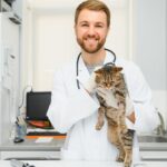 Muito além da digestão: o microbioma e a saúde dos pets