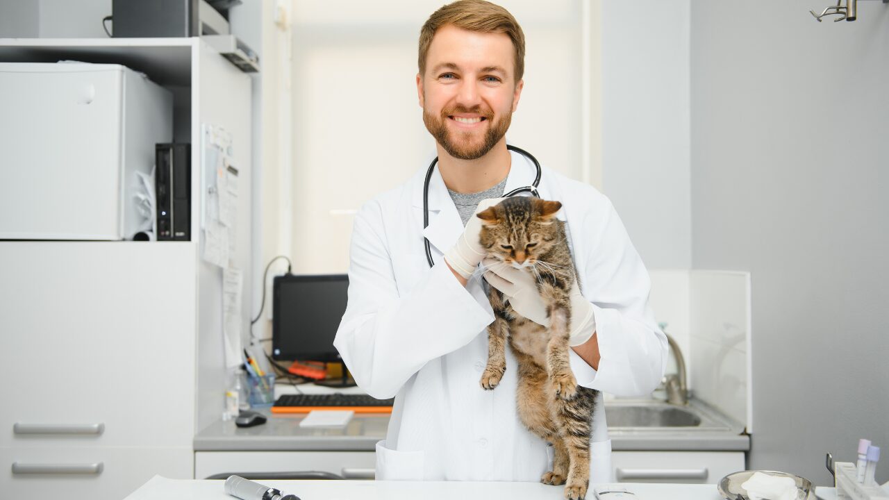 Muito além da digestão: o microbioma e a saúde dos pets