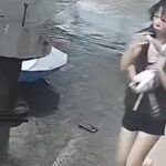 Mulher usa guarda-chuva para amortecer queda de gato que caiu de prédio na China