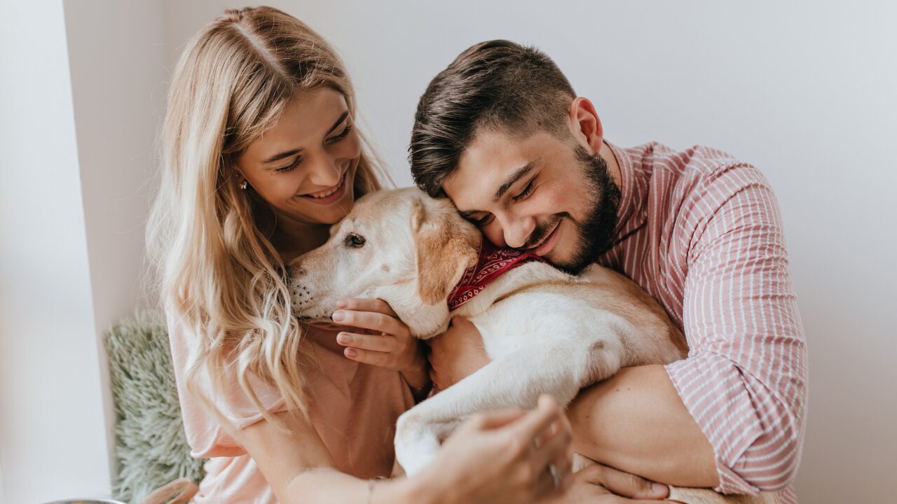 O futuro da relação entre humanos e animais já começou