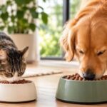 O prato perfeito_ como a ração completa entrega tudo o que o pet precisa