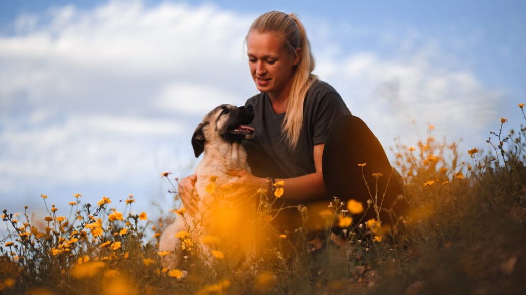 O que fazer quando a florada da primavera provoca irritação na pele do pet