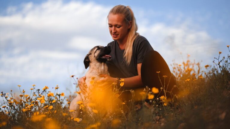O que fazer quando a florada da primavera provoca irritação na pele do pet