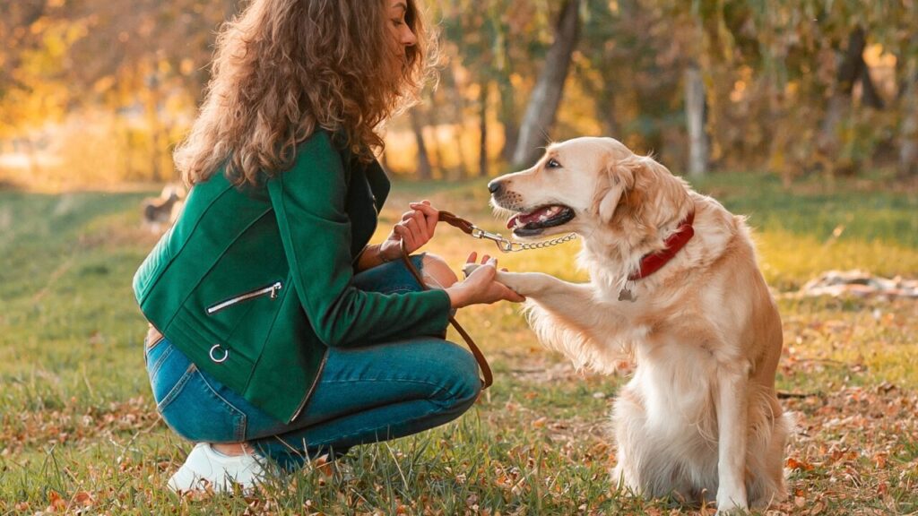O segredo neurológico que faz os cães entenderem a nossa conversa