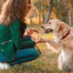 O segredo neurológico que faz os cães entenderem a nossa conversa