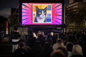 gatofest