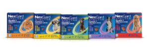 Pack NexGardSPECTRA