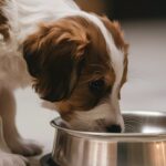 Palatabilidade além do sabor_ a ciência por trás da aceitação na nutrição pet