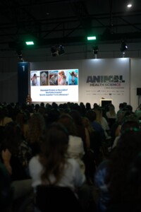 Palestra Viviani di Marco e Daniela Ramos