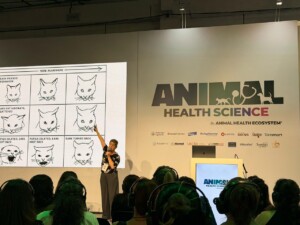 Palestra Felinos Animal Health