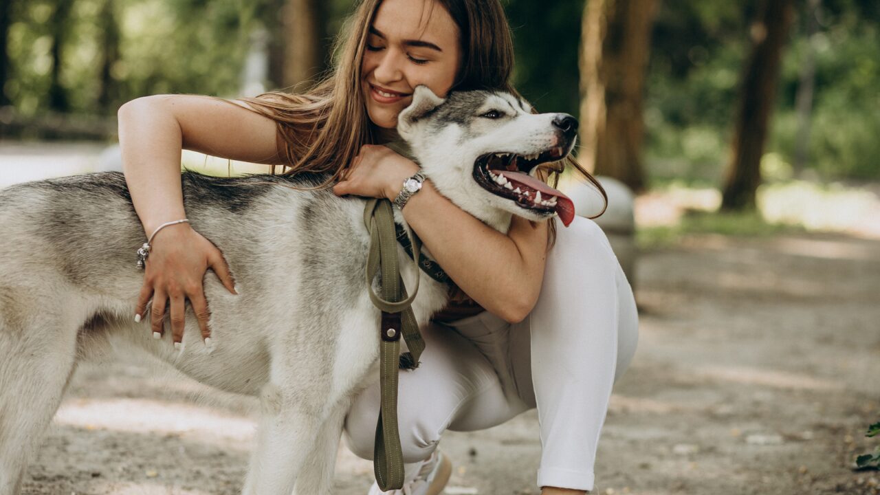 Para 49% dos responsáveis, o cão de estimação é a sua verdadeira alma gêmea