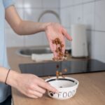 Pode aquecer comida do pet no micro-ondas? Veja os cuidados