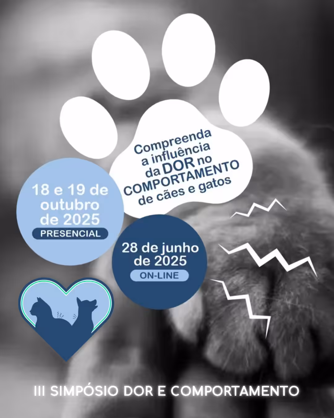 Simpósio de Dor e Comportamento acontece em 28 de junho